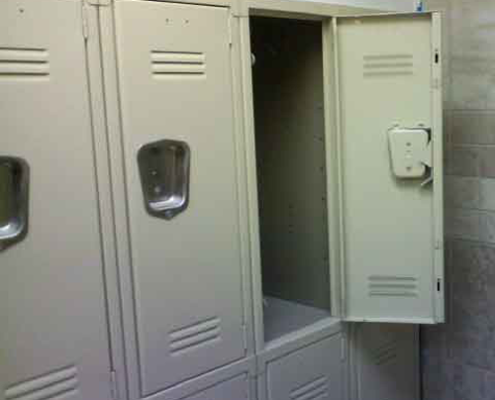 Specialty Paint: Electrostatic Specialty Paint: Electrostatic